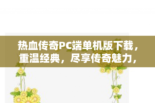 热血传奇PC端单机版下载图片