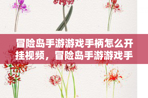 冒险岛手游游戏手柄怎么开挂视频图片