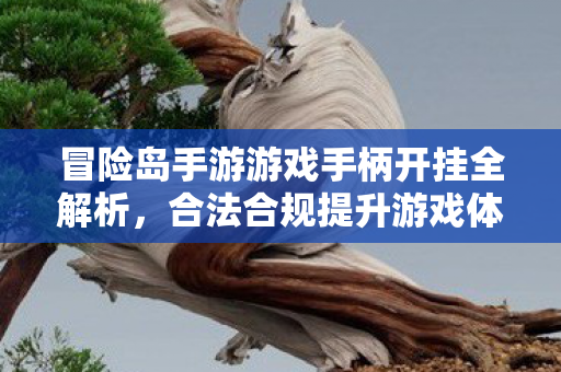 冒险岛手游游戏手柄开挂全解析图片