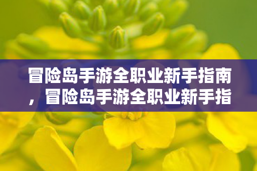冒险岛手游全职业新手指南,冒险岛手游全职业新手指南,助你快速上手 冒险岛手游全职业新手指南,冒险岛手游全职业新手指南,助你快速上手