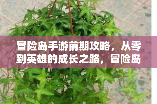冒险岛手游前期攻略,从零到英雄的成长之路,冒险岛手游前期攻略,从零到英雄的成长之路 冒险岛手游前期攻略,从零到英雄的成长之路,冒险岛手游前期攻略,从零到英雄的成长之路