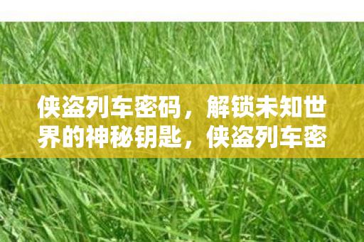侠盗列车密码，解锁未知世界的神秘钥匙，侠盗列车密码，解锁未知世界的神秘钥匙