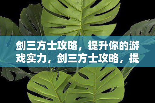 剑三方士攻略，提升你的游戏实力，剑三方士攻略，提升游戏实力全解析