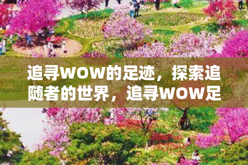追寻WOW的足迹，探索追随者的世界，追寻WOW足迹，探索追随者的奇幻世界