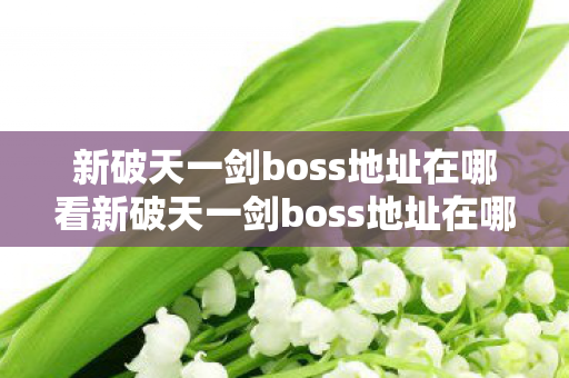新破天一剑boss地址在哪看新破天一剑boss地址在哪图片