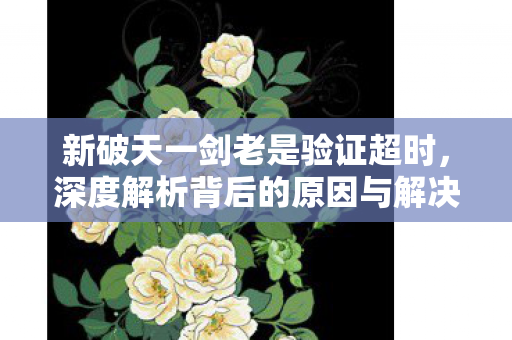 新破天一剑老是验证超时，深度解析背后的原因与解决方案，新破天一剑验证超时，原因与解决方案深度解析