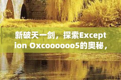 探索新破天一剑中的Exception Oxcoooooo5奥秘图片