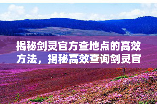 揭秘剑灵官方查地点的高效方法，揭秘高效查询剑灵官方地点的技巧