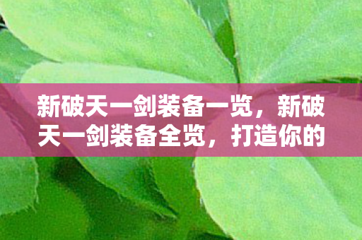 新破天一剑装备一览图片