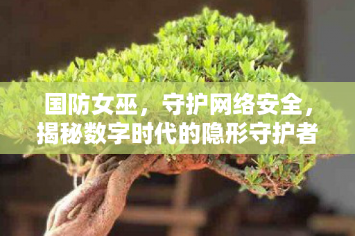 国防女巫，守护网络安全，揭秘数字时代的隐形守护者，揭秘数字时代的隐形守护者，国防女巫如何守护网络安全