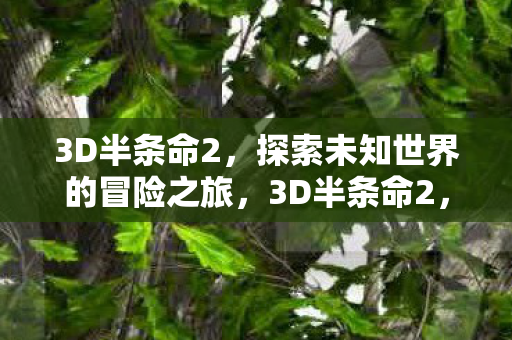 3D半条命2，探索未知世界的冒险之旅，3D半条命2，探索未知世界的惊险冒险