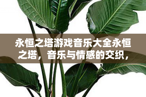 永恒之塔游戏音乐大全永恒之塔,音乐与情感的交织,永恒之塔,音乐与情感的交织 永恒之塔游戏音乐大全永恒之塔,音乐与情感的交织,永恒之塔,音乐与情感的交织