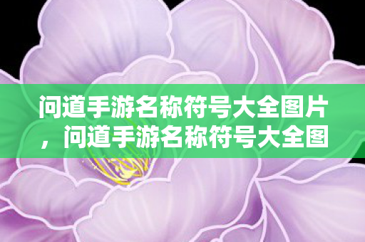 问道手游名称符号大全图片图片
