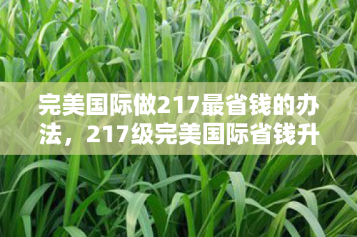 完美国际做217最省钱的办法，217级完美国际省钱升级攻略