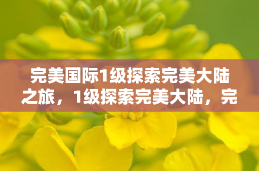 完美国际1级探索完美大陆之旅，1级探索完美大陆，完美国际之旅启程