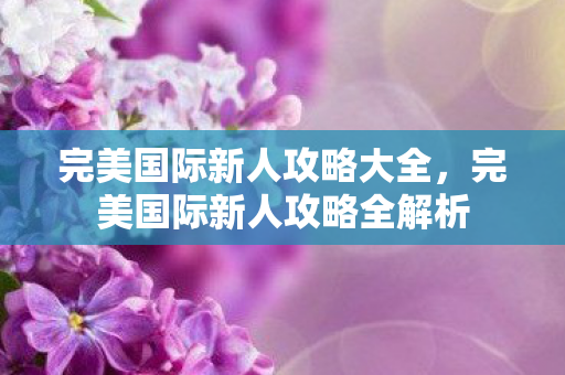 完美国际新人攻略全解析图片