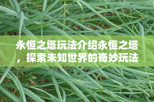 永恒之塔玩法介绍永恒之塔，探索未知世界的奇妙玩法，永恒之塔，探索未知世界的奇妙玩法