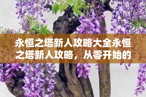 永恒之塔新人攻略大全永恒之塔新人攻略,从零开始的冒险之旅,永恒之塔新人攻略,从零开始的冒险之旅 永恒之塔新人攻略大全永恒之塔新人攻略,从零开始的冒险之旅,永恒之塔新人攻略,从零开始的冒险之旅