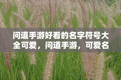 问道手游好看的名字符号大全可爱图片