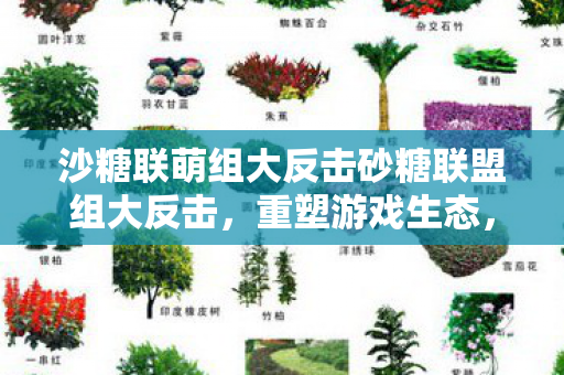 沙糖联萌组大反击砂糖联盟组大反击，重塑游戏生态，捍卫玩家权益，砂糖联盟组大反击，重塑游戏生态捍卫玩家权益