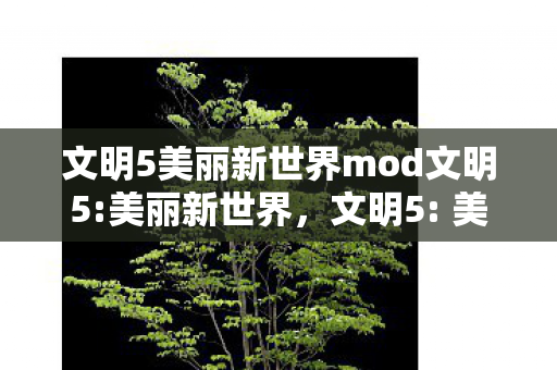 文明5美丽新世界mod文明5:美丽新世界，文明5: 美丽新世界MOD
