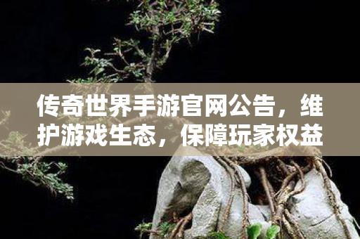传奇世界手游官网公告图片