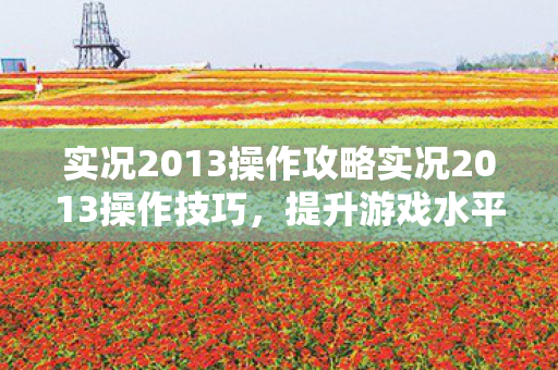 实况2013操作攻略实况2013操作技巧，提升游戏水平的关键步骤，实况2013操作技巧全解析，提升游戏水平的关键步骤