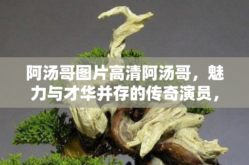 阿汤哥图片高清阿汤哥，魅力与才华并存的传奇演员，阿汤哥，魅力与才华并存的传奇演员