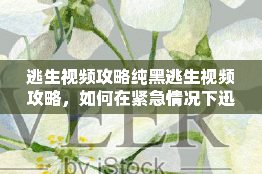 逃生视频攻略纯黑逃生视频攻略,如何在紧急情况下迅速撤离,纯黑逃生视频攻略,紧急撤离的实战技巧 逃生视频攻略纯黑逃生视频攻略,如何在紧急情况下迅速撤离,纯黑逃生视频攻略,紧急撤离的实战技巧