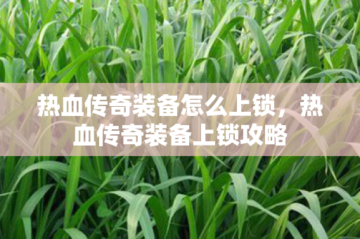热血传奇装备怎么上锁图片