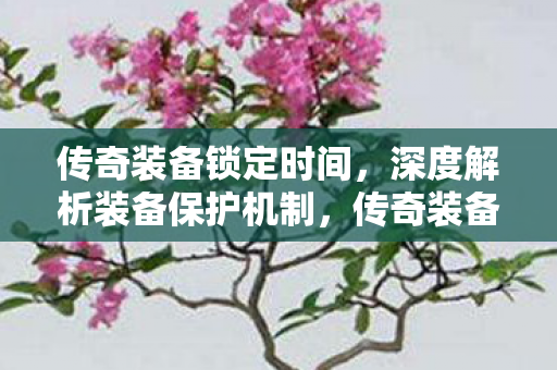 传奇装备锁定时间，深度解析装备保护机制，传奇装备保护机制深度解析，锁定时间揭秘