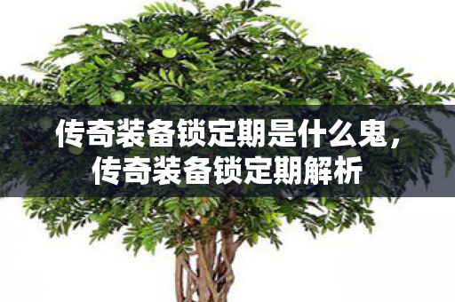 传奇装备锁定期是什么鬼图片