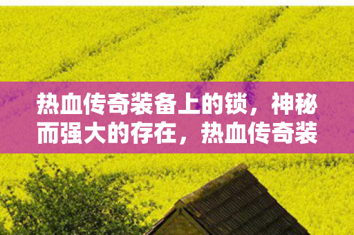 热血传奇装备上的锁图片
