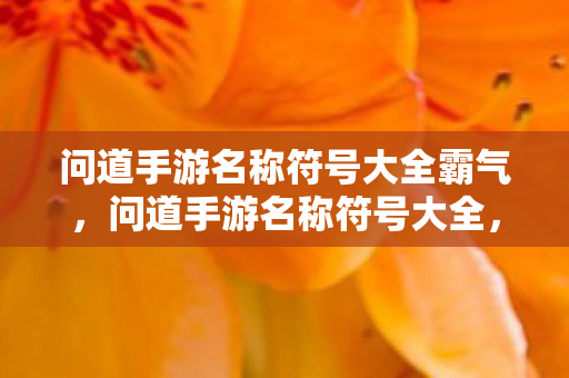 问道手游名称符号大全霸气图片