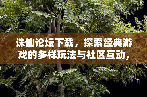诛仙论坛下载，探索经典游戏的多样玩法与社区互动，探索诛仙论坛下载，经典游戏的多样玩法与社区互动