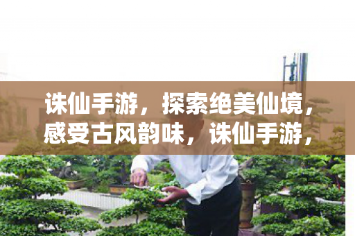 探索绝美仙境图片