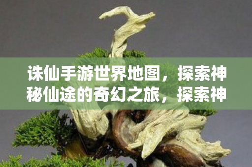 诛仙手游世界地图，探索神秘仙途的奇幻之旅，探索神秘仙途，诛仙手游世界地图奇幻之旅