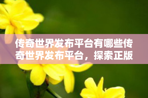 传奇世界发布平台有哪些传奇世界发布平台,探索正版游戏的魅力,探索正版魅力,传奇世界发布平台全解析 传奇世界发布平台有哪些传奇世界发布平台,探索正版游戏的魅力,探索正版魅力,传奇世界发布平台全解析