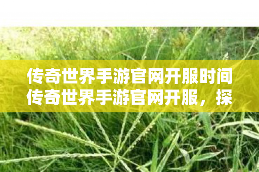 传奇世界手游官网开服时间传奇世界手游官网开服图片
