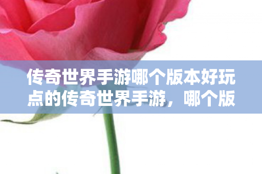 传奇世界手游哪个版本好玩点的传奇世界手游图片