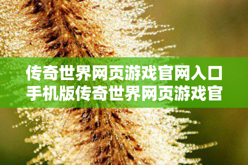 传奇世界网页游戏官网入口手机版传奇世界网页游戏官网入口图片