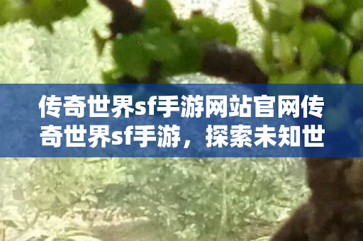 传奇世界sf手游网站官网传奇世界sf手游，探索未知世界的奇妙之旅，传奇世界sf手游，探索未知世界的奇妙之旅