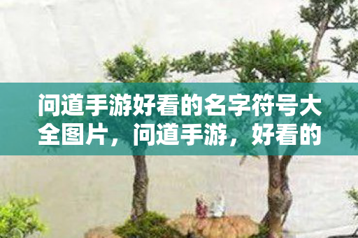 问道手游好看的名字符号大全图片图片