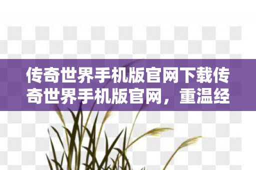 传奇世界手机版官网下载传奇世界手机版官网图片