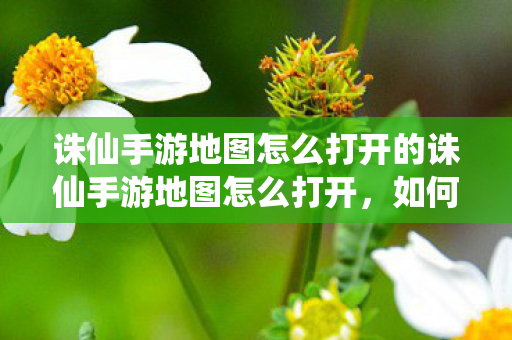 诛仙手游地图怎么打开的诛仙手游地图怎么打开，如何打开诛仙手游地图
