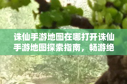 诛仙手游地图在哪打开诛仙手游地图探索指南，畅游绝美仙境，诛仙手游地图探索指南，畅游绝美仙境
