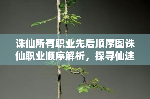 诛仙所有职业先后顺序图诛仙职业顺序解析，探寻仙途的奥秘，诛仙职业顺序解析，探寻仙途的奥秘