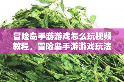 冒险岛手游游戏怎么玩视频教程图片