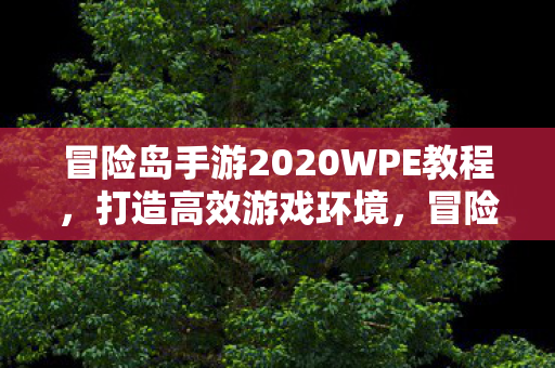 冒险岛手游2020WPE教程，打造高效游戏环境，冒险岛手游2020WPE教程，打造高效游戏环境