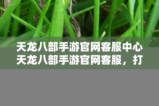 天龙八部手游官网客服中心天龙八部手游官网客服图片